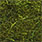 dark olive