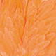 shrimp orange