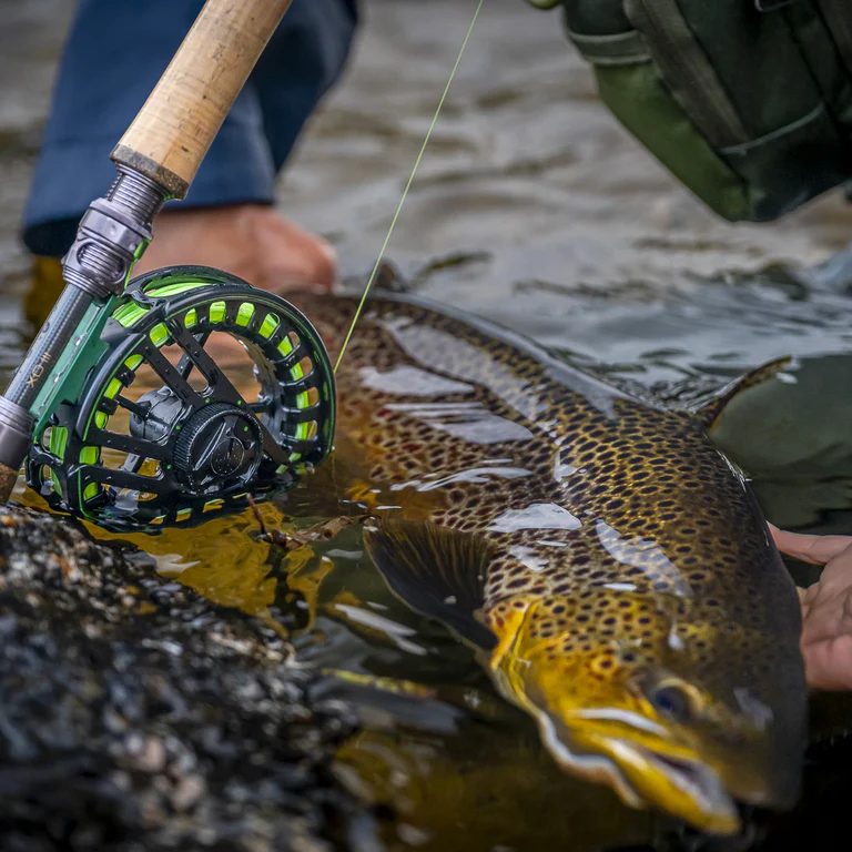 Vision_XO_III_Lifestyle_3