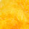 sunburst