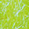chartreuse