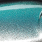 blue green, SiB RT