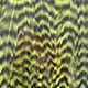 grizzly chartreuse
