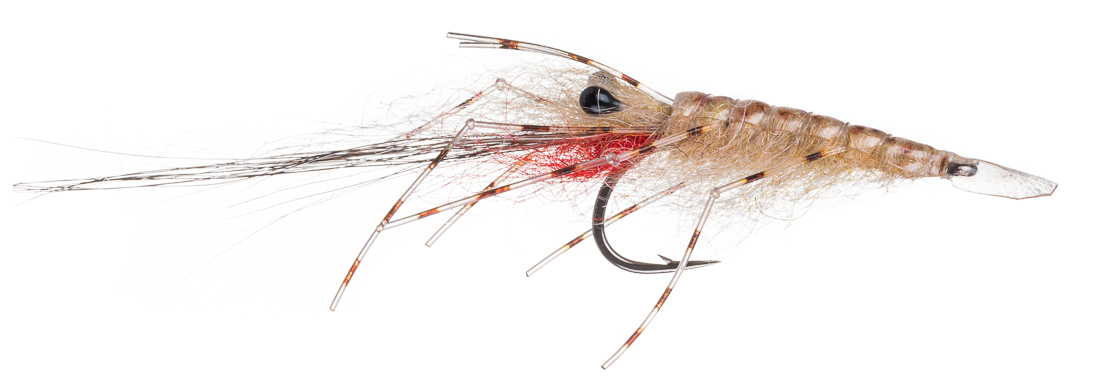 Guideline Meerforellenfliege Leoshrimp tan