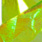 99 fluo chartreuse