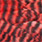 grizzly red