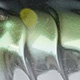D-05
