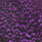 grizzly dyed purple