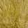 white dyed golden olive