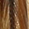 barred dark ginger