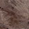 16 brown gray
