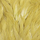 golden olive
