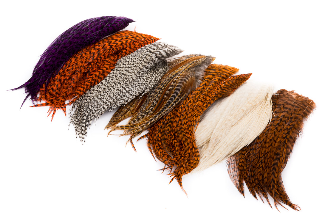 whiting_bugger_pk_title_1