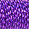 holo purple