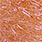 uv cinnamon
