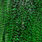 grizzly dyed highlander green