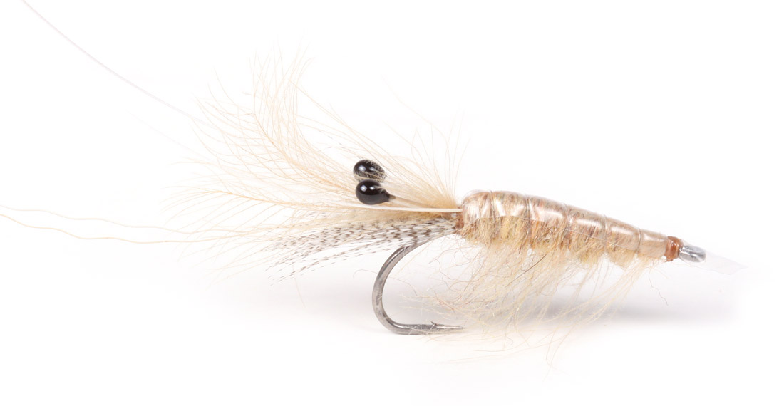 Guideline Meerforellenfliege Sand CDC Shrimp
