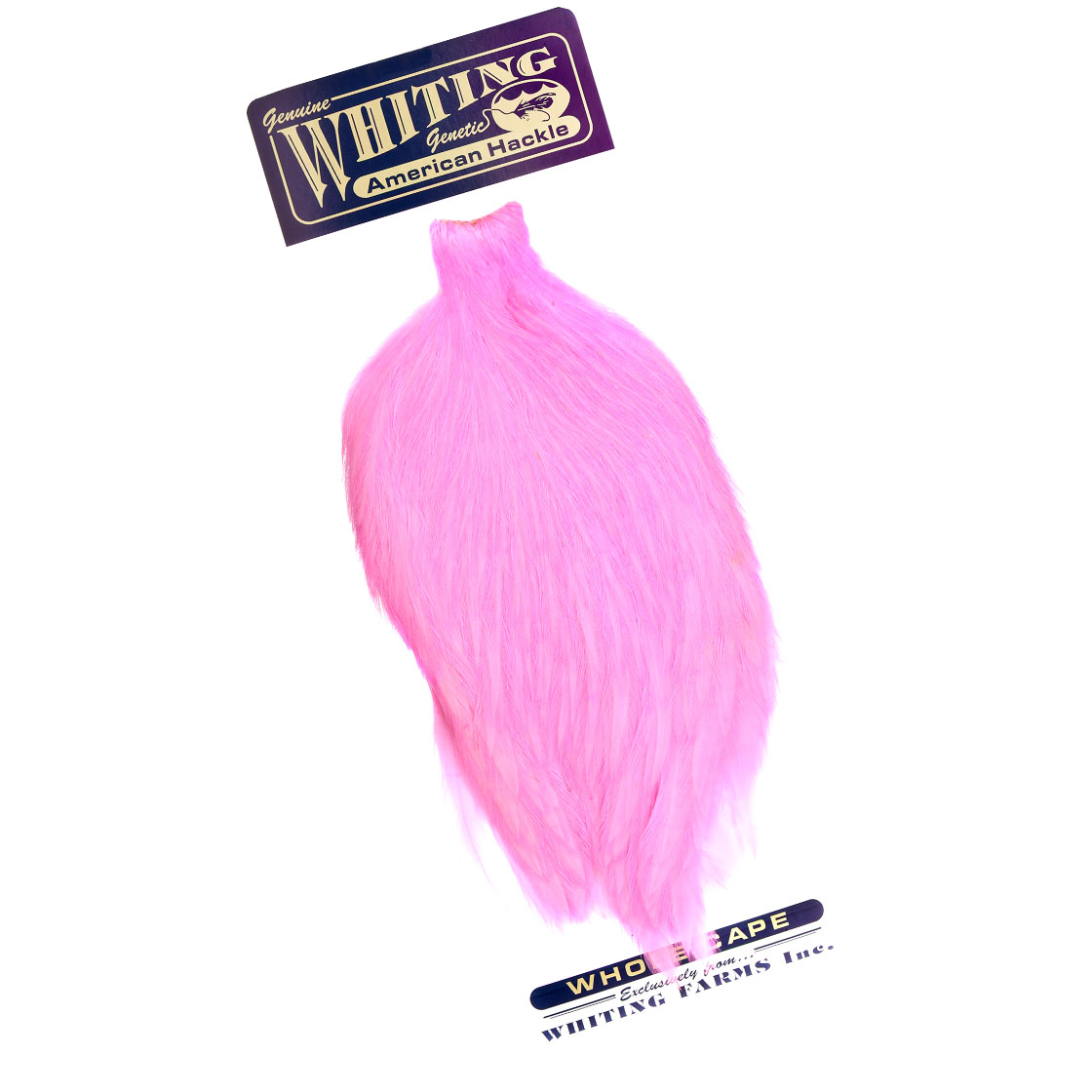 white dyed shell pink