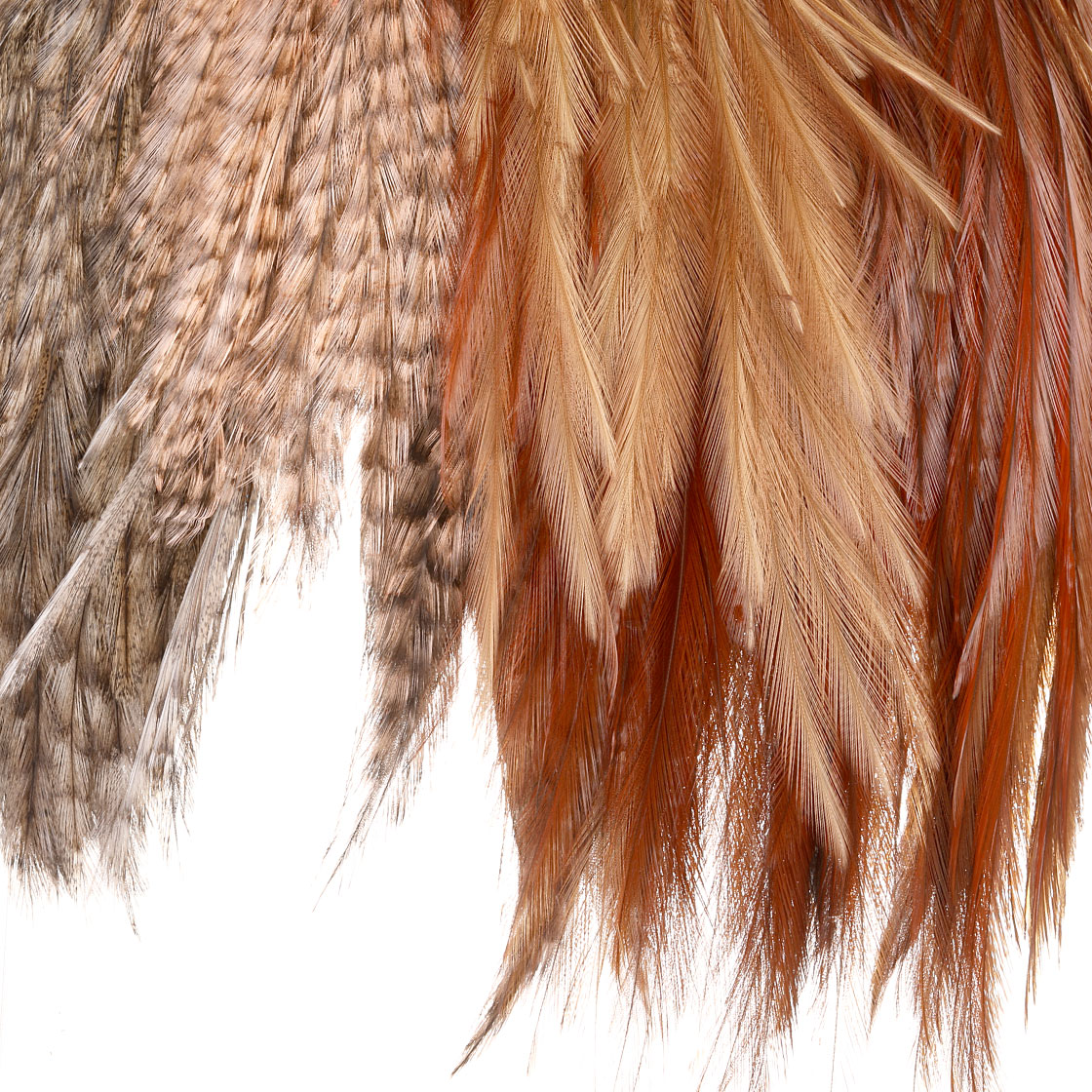 P-22281_rooster_saddle_titel_2 Future Fly Coq de Leon Rooster Saddle Sattel