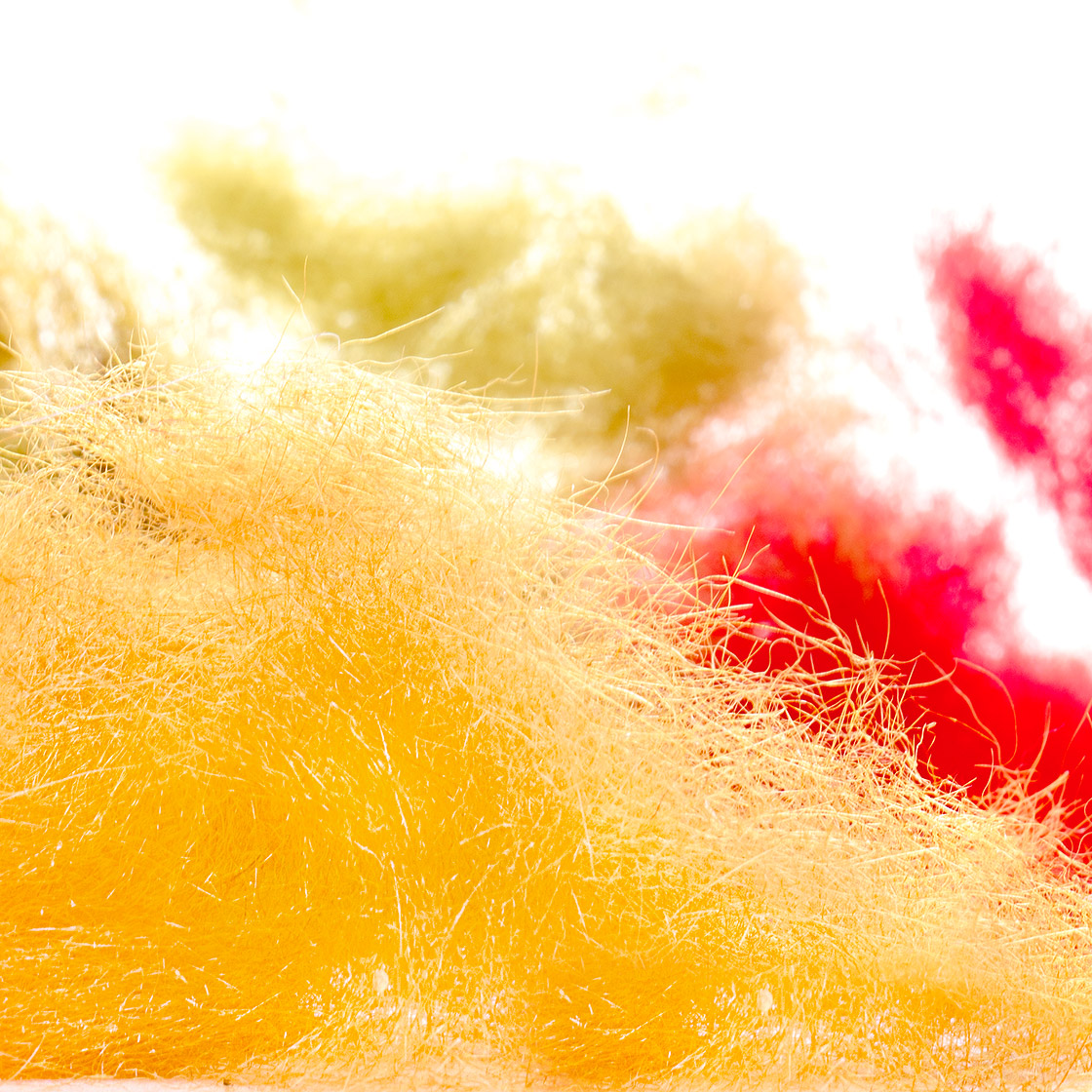 P-05097-Seal-Tulen-Seehund-Dubbing-Titel-neu Hends Seal Tulen Seehund Dubbing