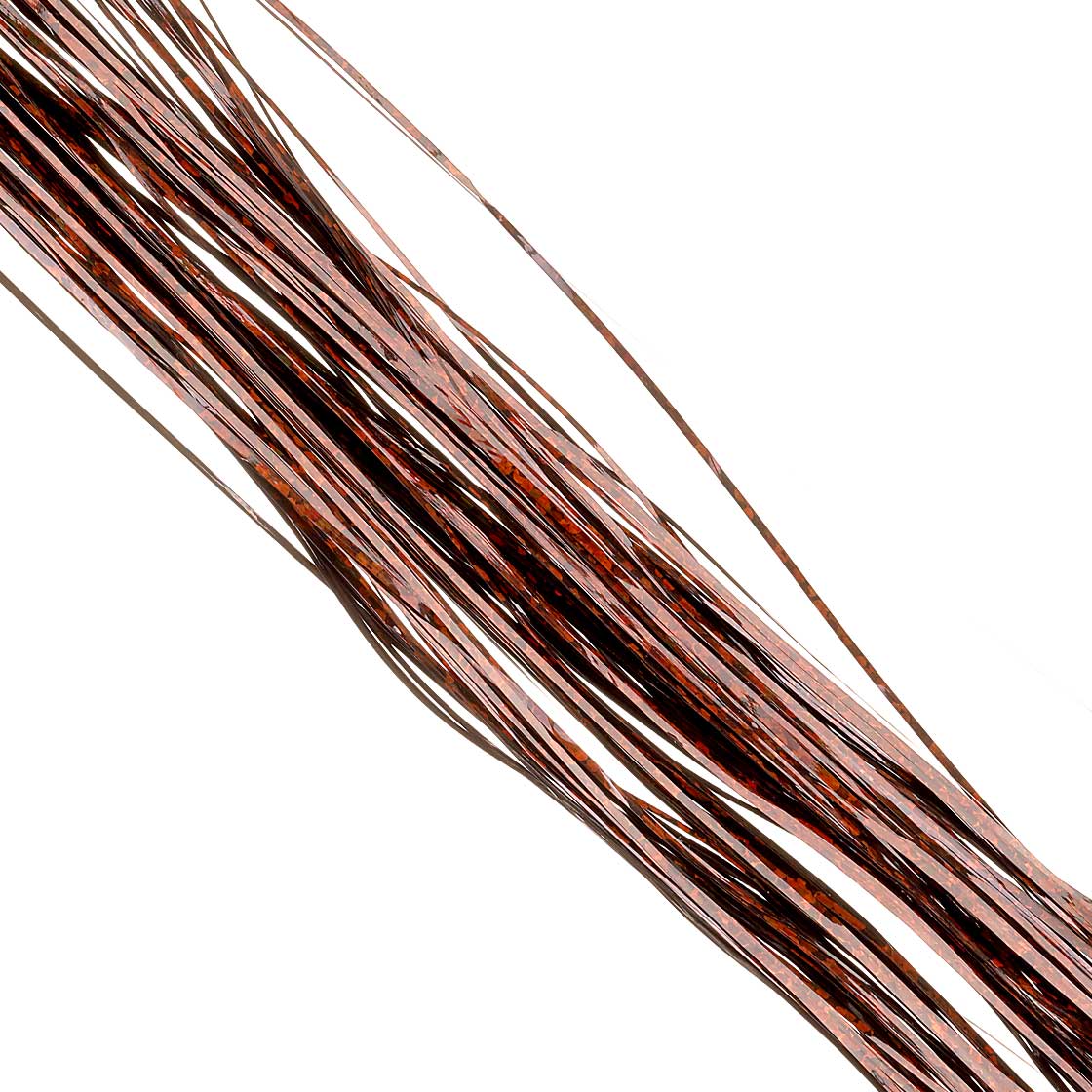 holo bronze