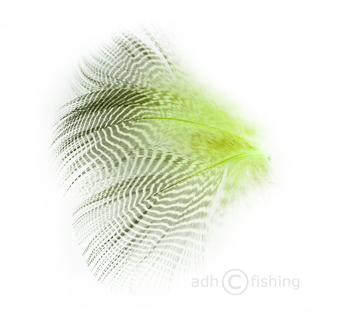 fluo chartreuse