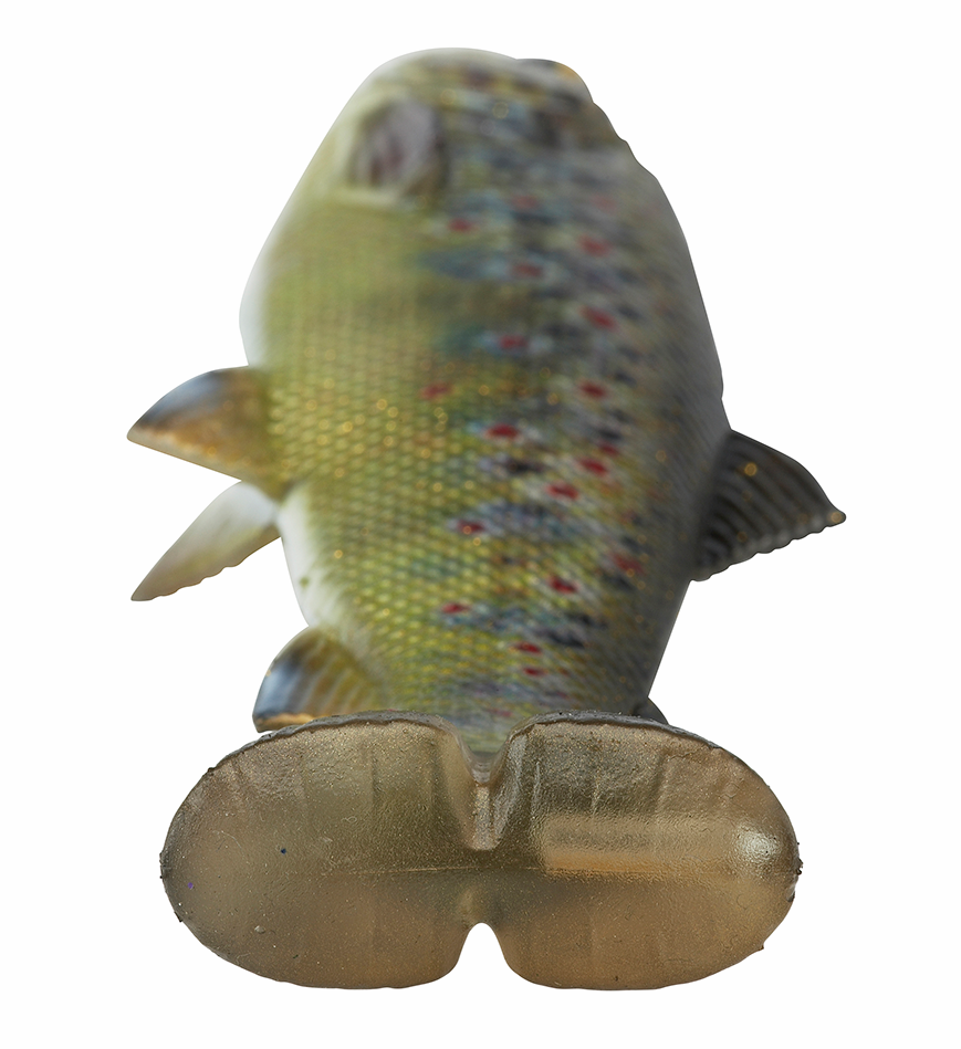 Savage Gear 4D Line Thru Pulse Tail Trout perch