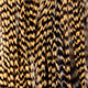 grizzly golden straw