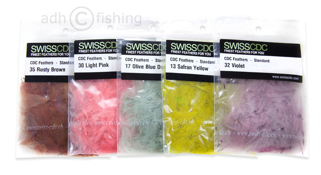 SwissCDC_CDCFeathersStandard_Titel_hi