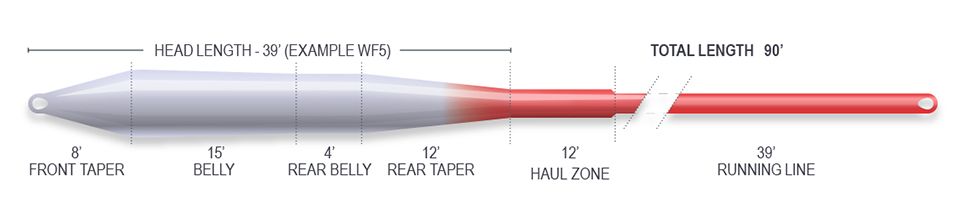 Airflo_Superflo_Ridge_2-0_Universal_Taper_Fliegenschnur_Floating_3