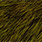 fluo chartreuse