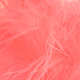 fluo hot coral