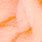 salmon egg