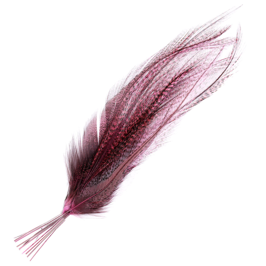 pardo corzuno rosado