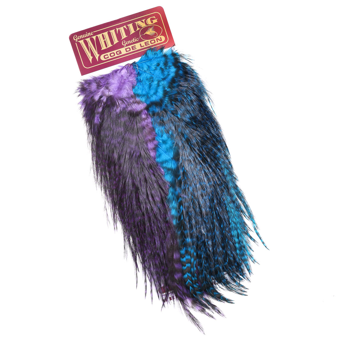 P-25389-1_Whiting-CDL-Predator-Pack_grizzly-pardo-red_purple-kingfisher-blue Purple / Kingfisher Blue