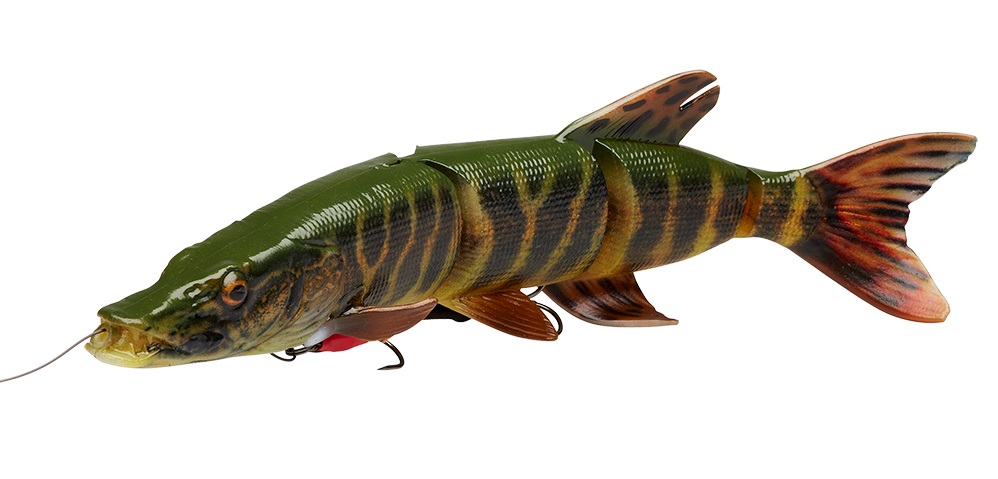 4D Line Thru Pike Striped Pike