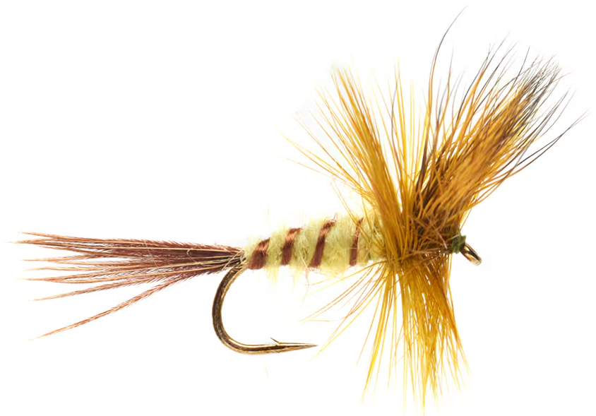 P-29075_Fulling_mill_Jackies_Yellow_Olive_Mayfly_ Fulling Mill Tactical Dryfly Jackie's Yellow Olive Mayfly #10 Maifliege
