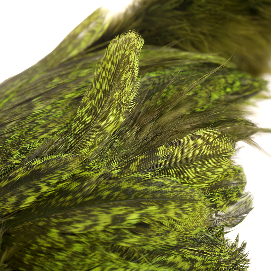 P-28068_Whiting-Coq-De-Leon-Hen-SH_C-Softhackle-with-Chickabou-Bronze-Grade_detail-3