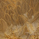 mottled grey dyed march brown