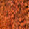 grizzly dyed orange