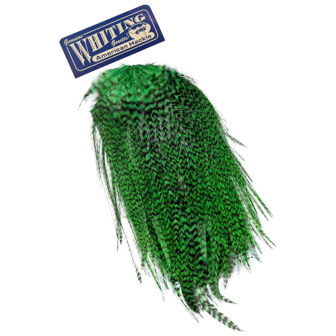 P-25381-11_Whiting-American-Rooster-Saddle_grizzly-dyed-highlander-green grizzly dyed highlander green