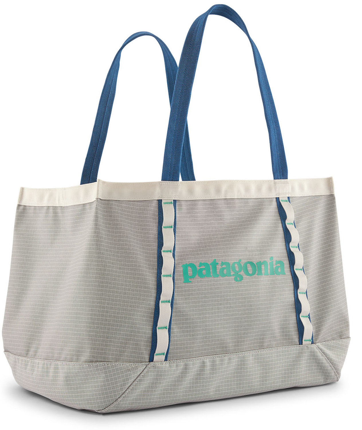 Patagonia Black Hole Tote 25L Tasche BCW