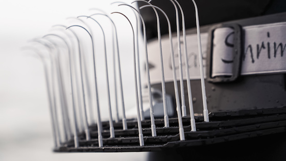 Wir testen: Easy Shrimp Eyes Line Master - Der innovativste Schnurkorb