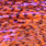 uv fluo orange
