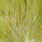 white dyed olive