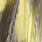 grizzly dyed pale yellow