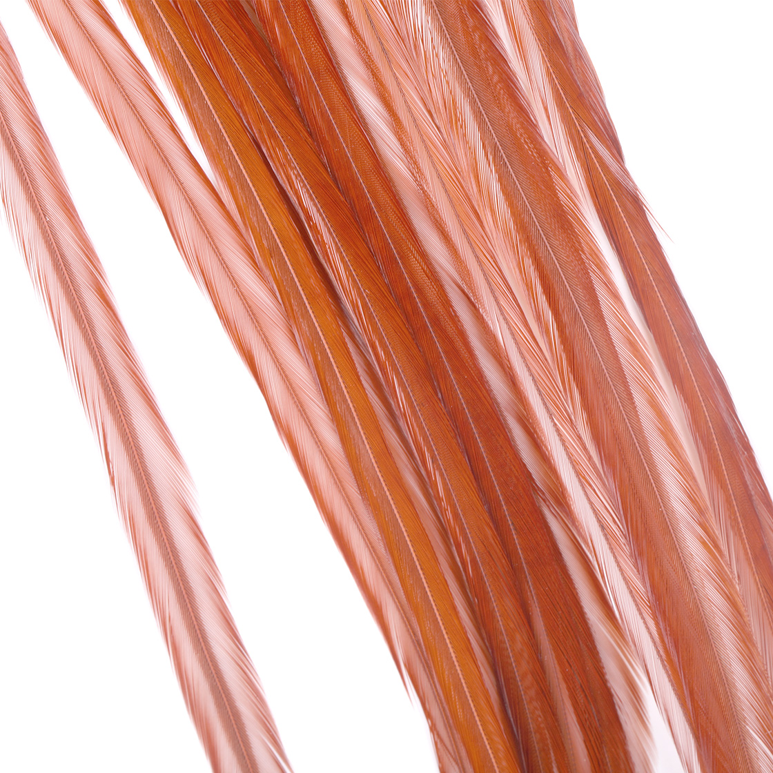 Whiting 100 Pack MFC - Brown