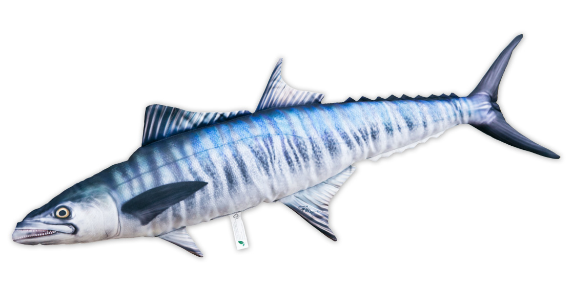 Fischkissen Kuscheltier Spanische Makrele 102cm