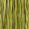 white dyed olive
