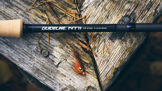 Guideline NT11 mit C.A.P T1100 Technology